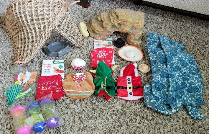 Bearded Dragon Clothes And Gear
