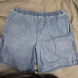 Mens Size 38 Puritan Denim Shorts