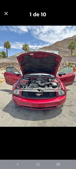 Mustang deportivo