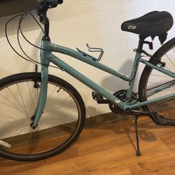 raleigh detour 24 speed 