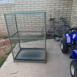 Bird Cage