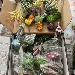 Succulent Crafting Supplies 