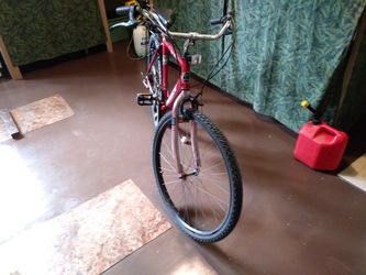 Murray back hotsell track bike