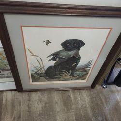 Decoy Lmtd Ed print  By Jonhn Ruthven Custom Framed