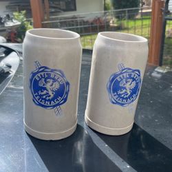German Beer Steins Pair ETTL BRAU TEISNACH