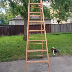 12 ft. Wooden Ladder Hillside, Il (vicinity of Wolf rd/  Butterfield rd) see maps