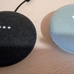 2 FOR 1 Google Home Nest  MINI (2nd Gen)PAIR