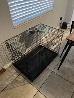 Dog Cage