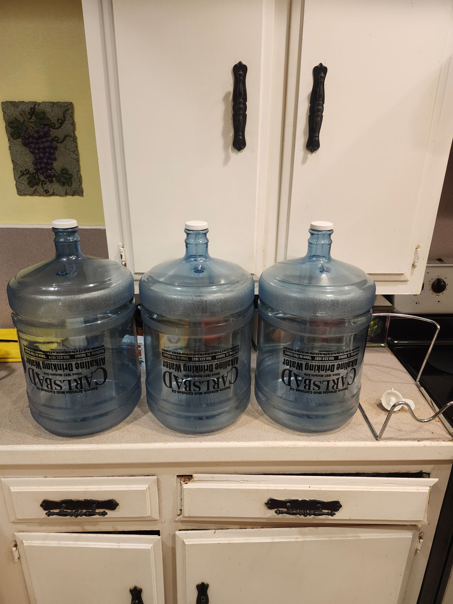 5 gallon Carlsbad Alkaline Water Bottles (3) with lids, stand, and leak proof spout.