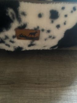 Big dogs bed
