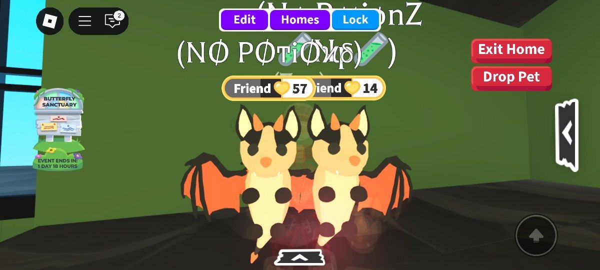 Bat Dragons From Me💥NO POTIONS FULL-GROWN 💥