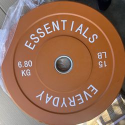 A pair of 15 bumper weights