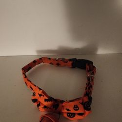 Halloween Dog Collar 