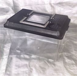 Container