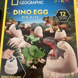 National Geographic Dino Egg  Kits