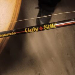 Shakespeare Ugly Stick And Reverb 