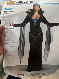 Evil sorceress costume