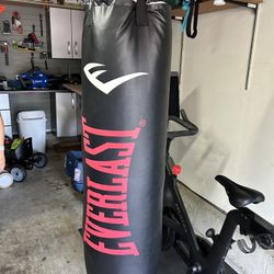Everlast Heavy Bag