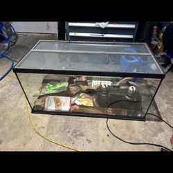 55 Gallon Terrarium