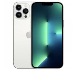 iPhone 13 Pro Max • Unlocked Silver • 1000 GB • Physical SIM + eSIM And More