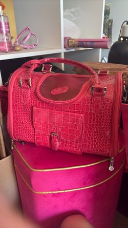 Small pet carrier