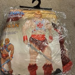 He-Man Masters of the Universe Adult Costume