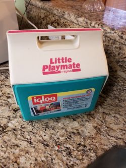 Little playmate igloo.