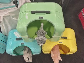 Cat Litter Box