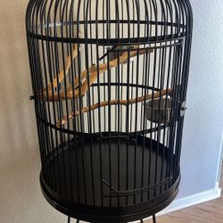 Bird Cage 