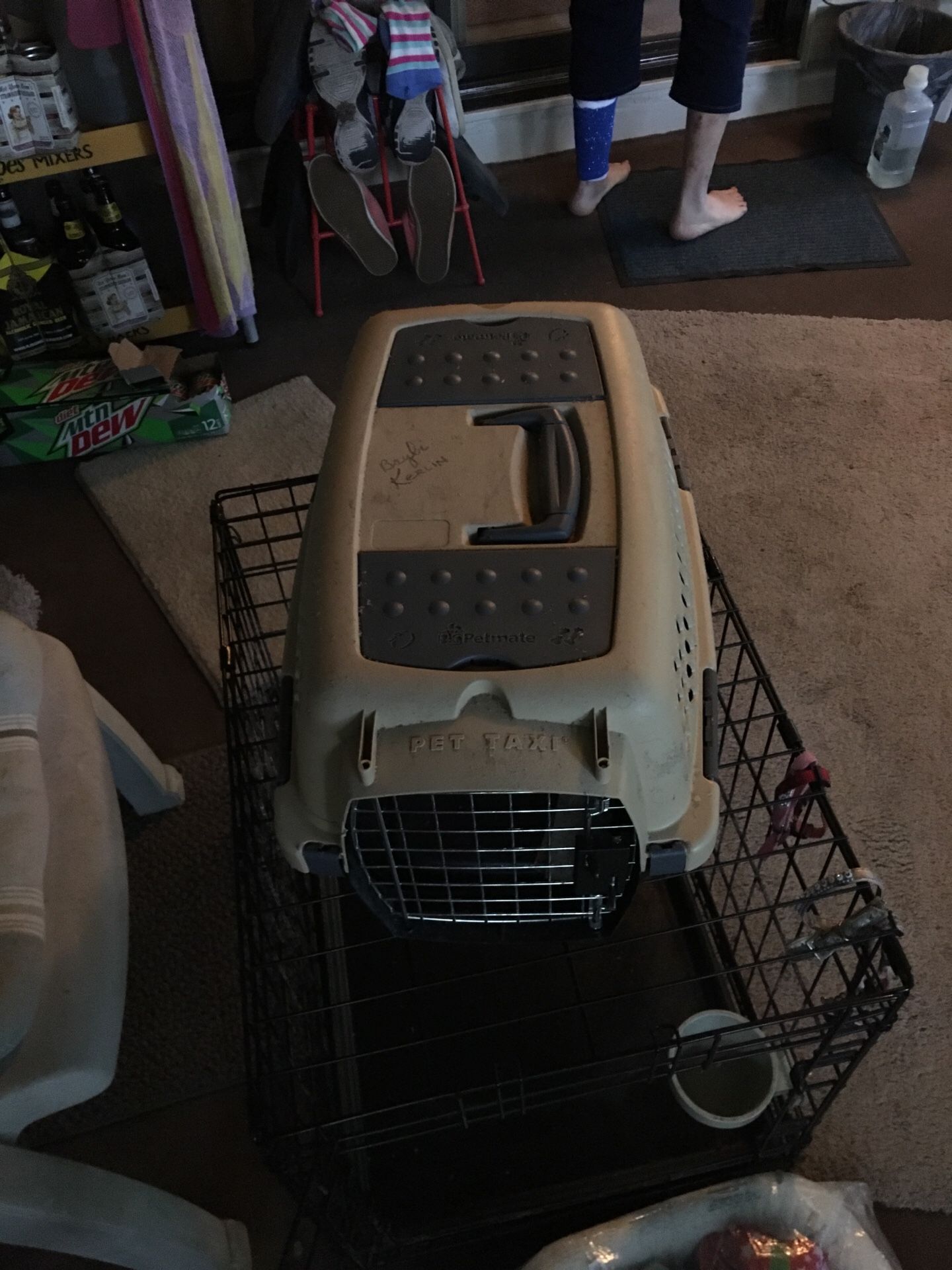 Dog Crate and Carrier and new bedding and collars