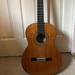Brand New Guitar