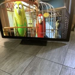 Panasonic 55/65 In TV