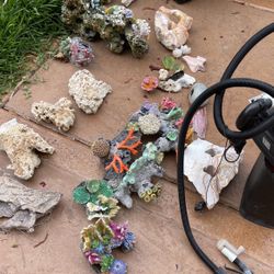 Fish Tank Decor Rocks Filter And More 