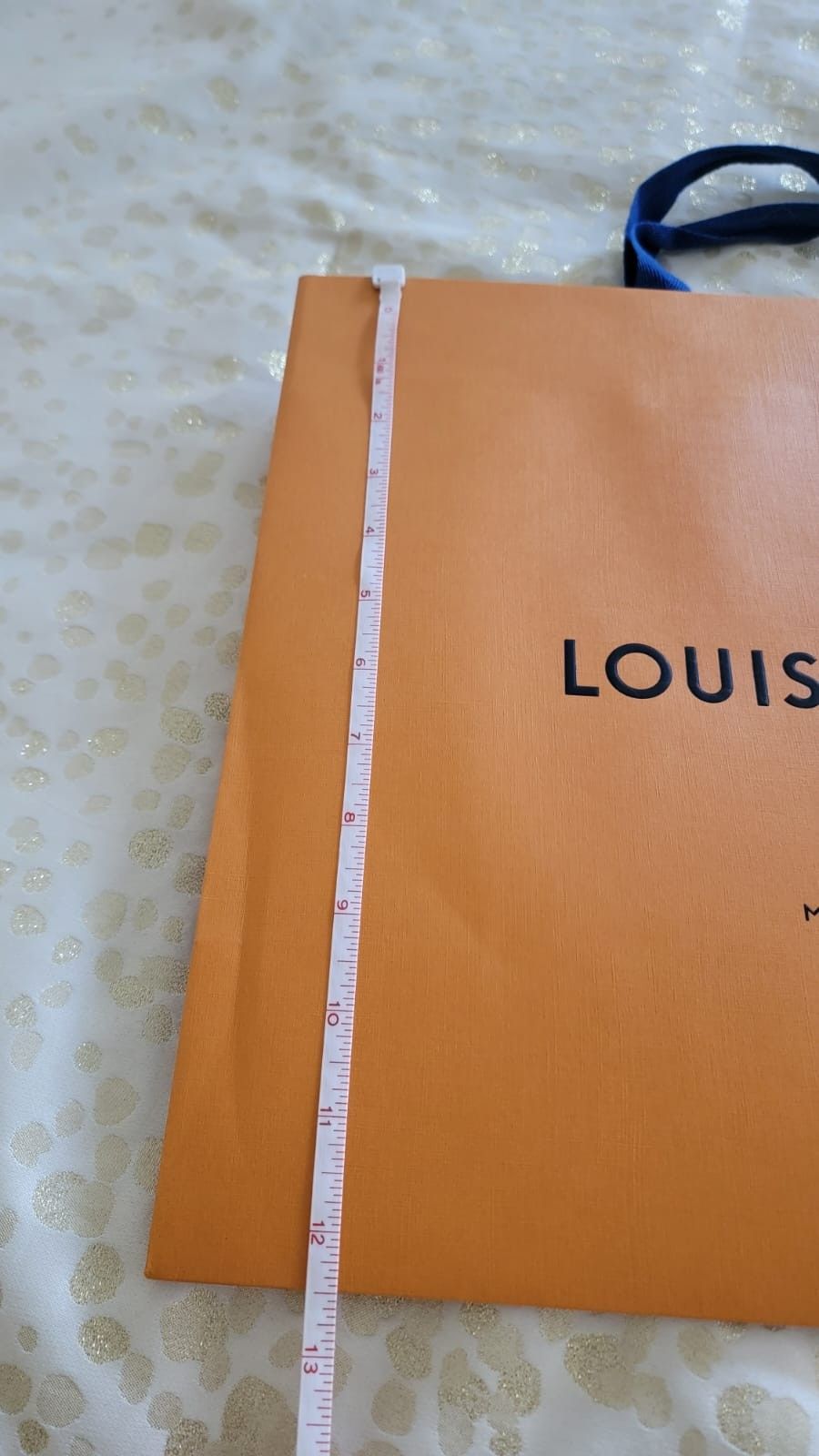 Louis Vuitton Gift Bag 