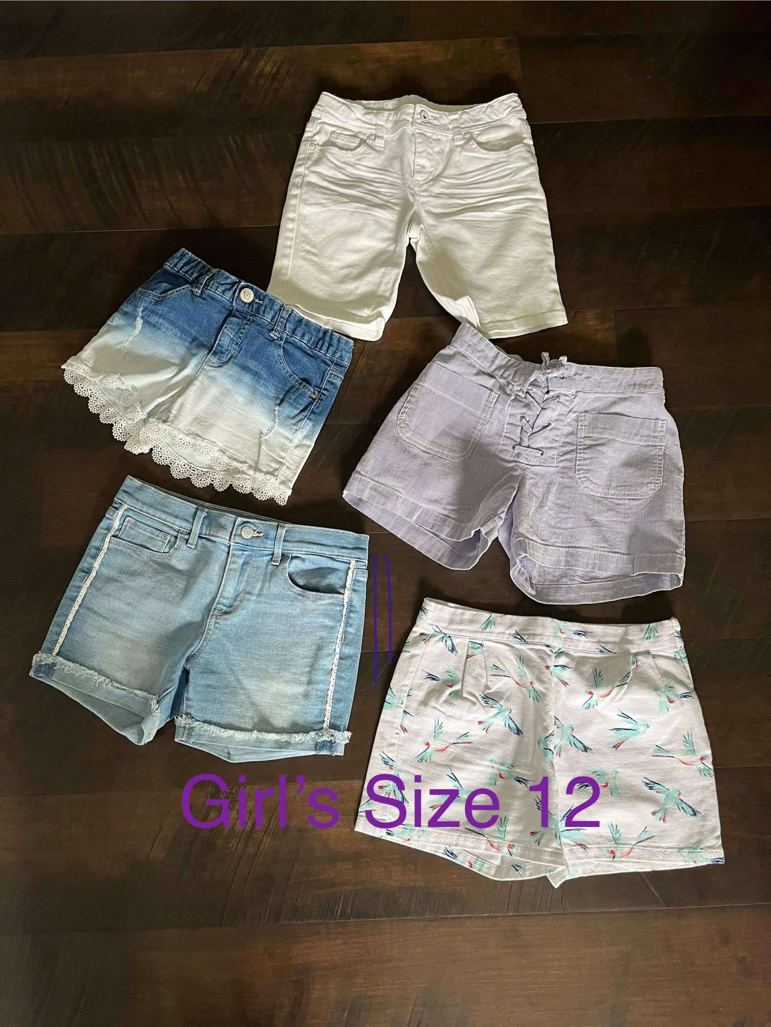 Girl’s Shorts (Size 12)