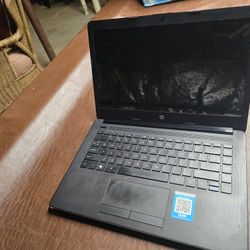 HP Laptops 