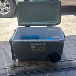 Cooler Igloo