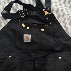 Carhartt Winter Coveralls 