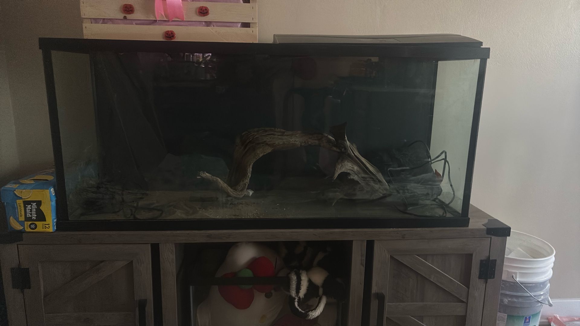75 Gallon Fish tank 