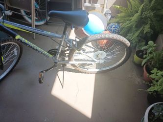Road Master Bike