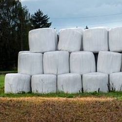 Round HAY 