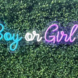 Boy or Girl LED Neon Sign 