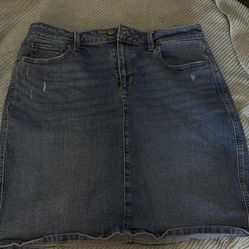Jean Skirt 