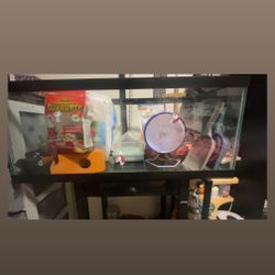 hamster items 50 gallon fish tank