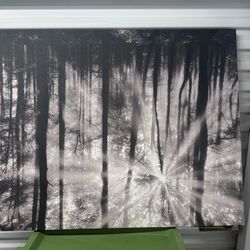 Canvas pictures