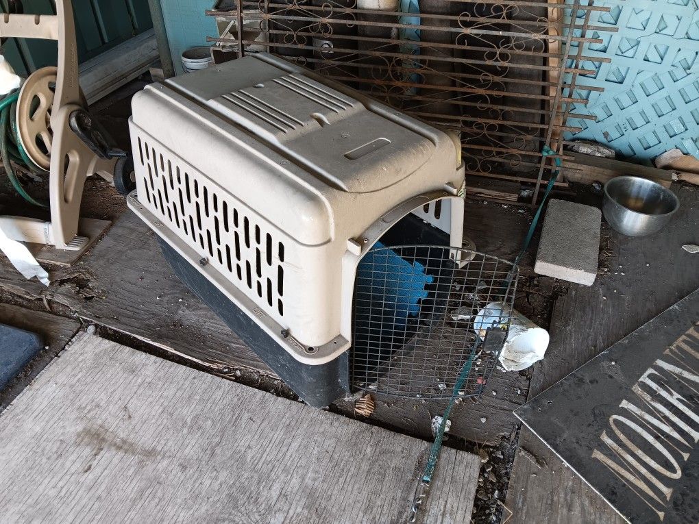 Dog Kennel For Sale
