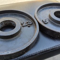 2 1/2 Lb And 5 Lb Plate Weights