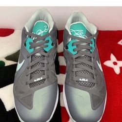 Size 14 - Nike LeBron 9 Low Easter 