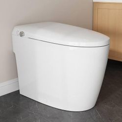 Non-electric elongated bidet toilet, white