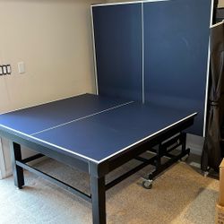 Ping Pong Table